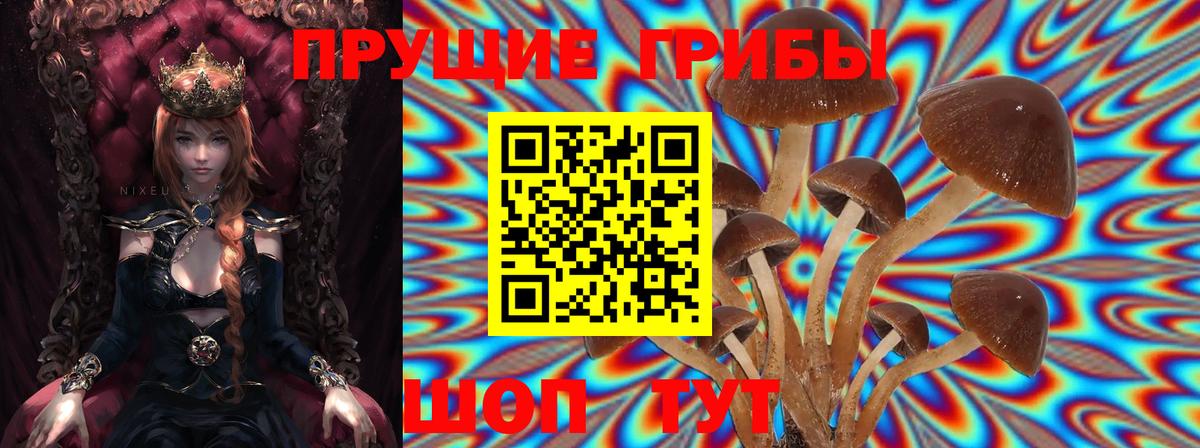 Псилоцибиновые грибы ЛСД Сосновоборск
